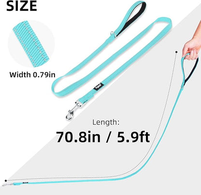 PUPTECK Reflective Dog Leash with Comfortable Padded Handle Durable Nylon Dog Lead for Small Medium and Large Dogs Cats Walking Running Training Outside, Light Blue