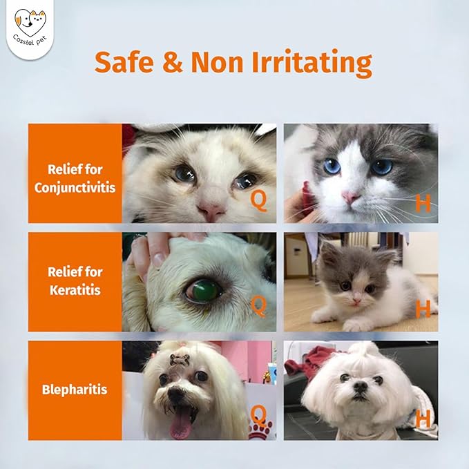 Eye Drops for Eye Infection Treatment, Soothe Infection Allergy, Relieve Dry Eyes & Red Eye，Eye Cleaner and Tear Stain Remover for Dogs and Cats | 10 ml 0.33 FL OZ (1 Bottle)