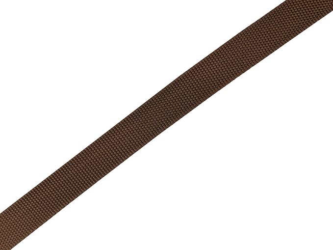 Nylon Dog Leash 12 Feet Long, Walking Training Dog Leashes for Medium Large Dogs(1" X 12 ft, Brown)