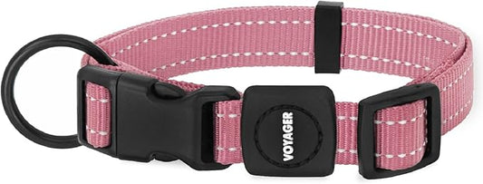 Best Pet Supplies Voyager Reflective Dog Leash or Collar with Neoprene Handle, for Small, Medium, and Large Breed Puppies, Cute and Heavy Duty for Walking, Running and Training - Pink, M