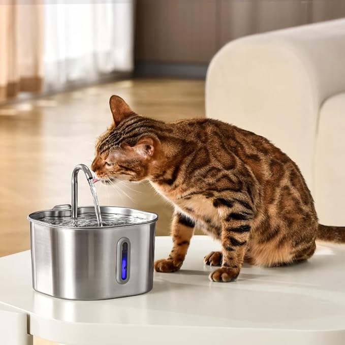 KittySpout Stainless Steel Cat Water Fountain Automatic Drinking Fountain, Quiet Circulating Water Bowl, Dishwasher Safe, Indoor Pet Fountain for Hydrated Healthy Cats (Stainless Steel, 2.2L Corded)