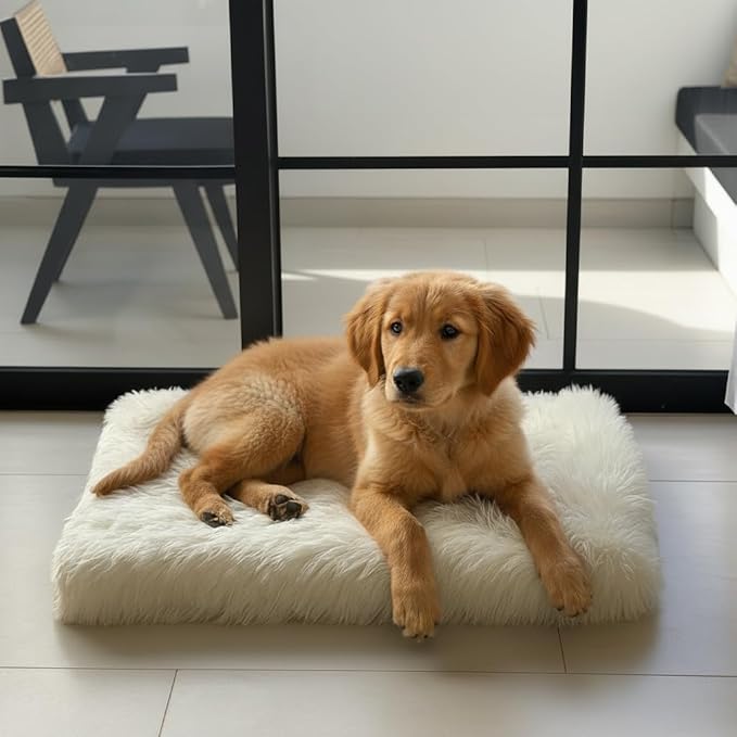 IHAPPYDOG Luxury Faux Fur Orthopedic Dog Beds, Memory Foam Crate Bed for Small, Medium, Large and XL Pets, Fluffy Pet Bed with Waterproof and Washable Cover, Fits Crates (White, 35" x 23")