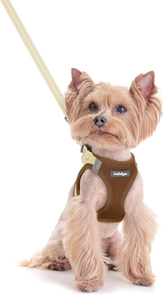 rabbitgoo Dog Harness Small Sized and Leash Set, Step in Soft Light Puppy Vest, Breathable Mesh Pet Harness, Reflective for Safe Easy Walking, Brown & Beige XXS