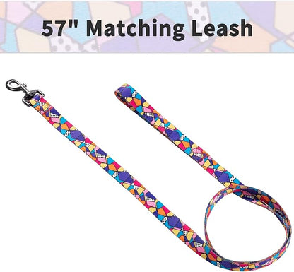 Ihoming Dog Collar and Leash Set for Daily Outdoor Walking Running Training, Geometric Design for Large Boys Girls Dogs Cats Pets, L-Up to 80LBS