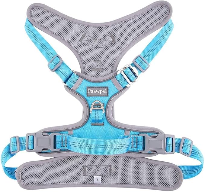 Dog Harness and Leash Set – Adjustable Dog Collar and Vest Harness for Dogs, Durable Pechera para Perros Medianos – Arnes Perro with Leash– S, M, L, XL Dog Harness and Leash Set