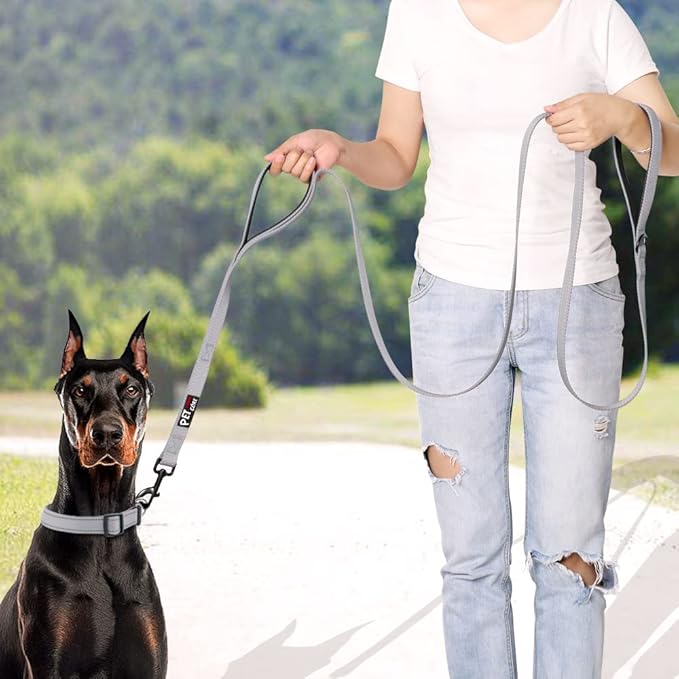Plutus Pet Double Handle Dog Leash 6ft, Heavy Duty, Reflective Dual Handle Dog Leash for Safety Training, for Medium Large Dogs, 2 Handle Leads(Gray)