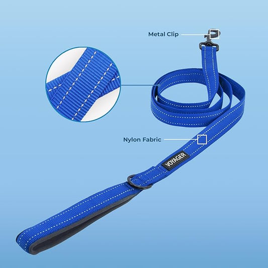 Best Pet Supplies Voyager Reflective Dog Leash or Collar with Neoprene Handle, for Small, Medium, and Large Breed Puppies, Cute and Heavy Duty for Walking, Running and Training - Royal Blue (Leash), L