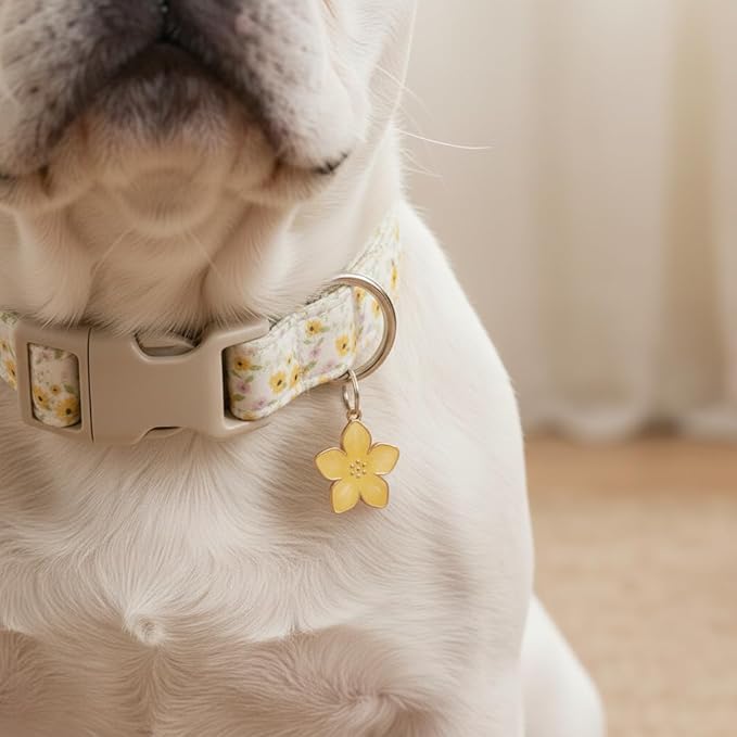 Dog Collar, Unique Floral Dog Collar Girl, Spring Summer Design Pet Collar with Cute Charm, Quick Release Buckle and Durable Fabric, Suitable for Small, Medium and Large Dogs