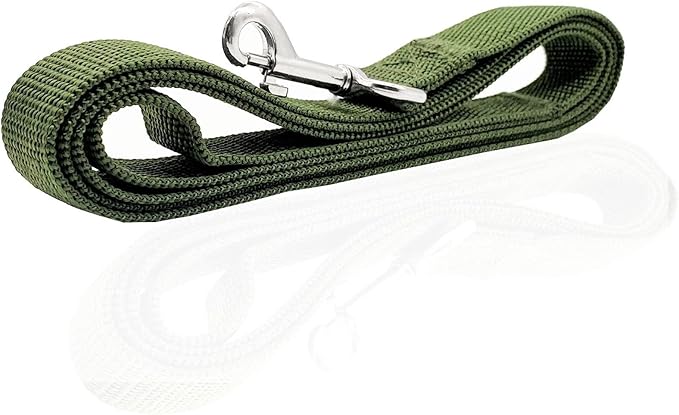 Nylon Dog Leash 12 Feet Long, Walking Training Dog Leashes for Medium Large Dogs(1" X 12 ft, Green)