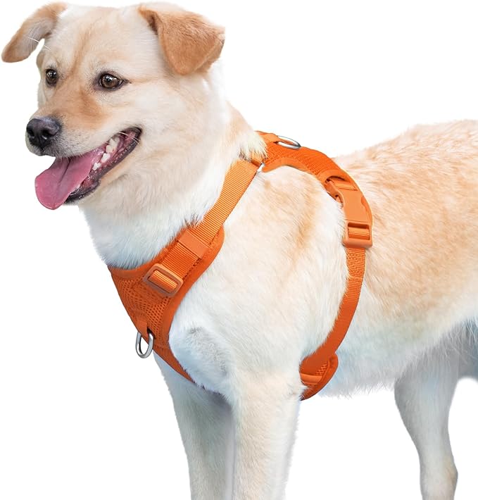 No Pull Dog Harness for Small Medium Large Dogs - Adjustable 2 Layer Mesh Dog Vest with Dual Clip, Escape Proof, Quick Release, Lightweight Breathable Mesh for Walking Hiking (Orange,XS)