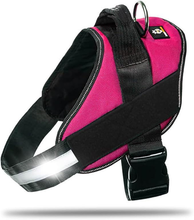 DOGGYKINGDOM Non Pull Dog Harness with Patch Panels and Handle, Adjustable, Reflective, No Choke, Heavy Duty Easy On Service Dog Vest Harnesses for Medium Large Small Sized Dogs - Rose Red, L