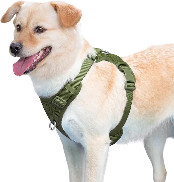 No Pull Dog Harness for Small Medium Large Dogs - Adjustable 2 Layer Mesh Dog Vest with Dual Clip, Escape Proof, Quick Release, Lightweight Breathable Mesh for Walking Hiking (Misty Green,XL)