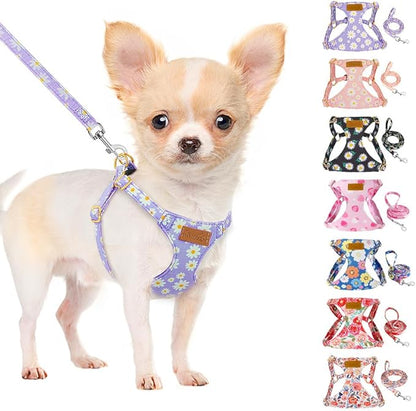 SlowTon Dog Harness Small Sized Dog - Soft XXS Dog Harness and Leash Set No Pull No Chock, Adjustable Lightweight Puppy Harness for XS Small Medium Dogs Cats (Purple Dasiy, XXS)
