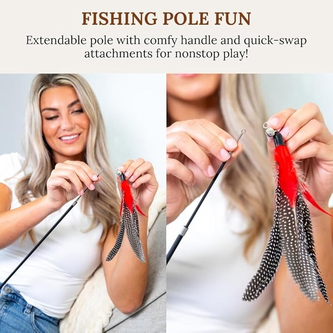 GADGETSOLOGY Cat Toys Set Cat Fishing Pole Retractable Wand Suction Cup & Hanging Teaser Wand for Indoor Cats & Kittens Feather Attachments Ribbon