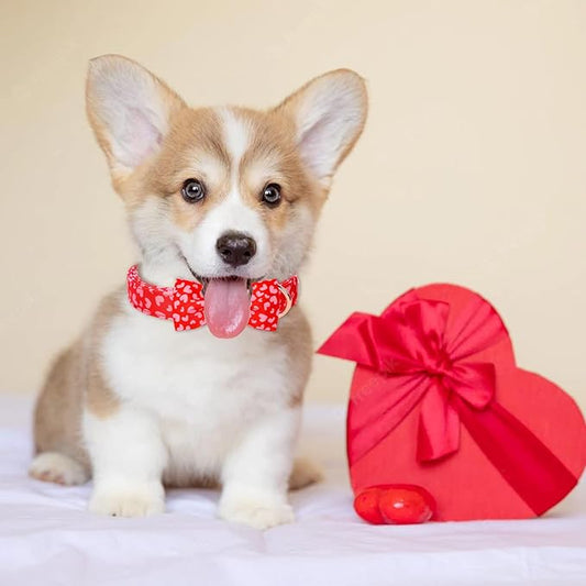 Valentines Dog Collar with Bow Tie, Pink Red Love Male Dog Collar with Safety Metal Buckle Adjustable Puppy Collars for Small Medium Large Boy & Girl Dog,M-Neck 13.5"-22"