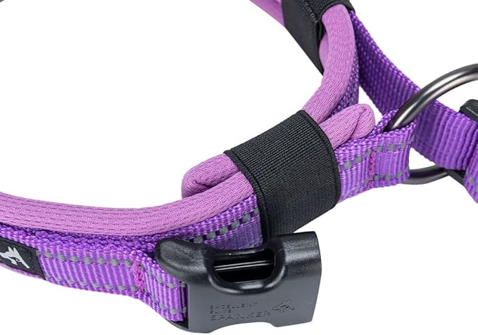 EXCELLENT ELITE SPANKER Reflective Dog Collar Classic Soft Padded Breathable Nylon Adjustable Pet Collar with Quick Release Buckle for Boy Girl Male Female Small Medium Large Dogs Training(Purple-S)