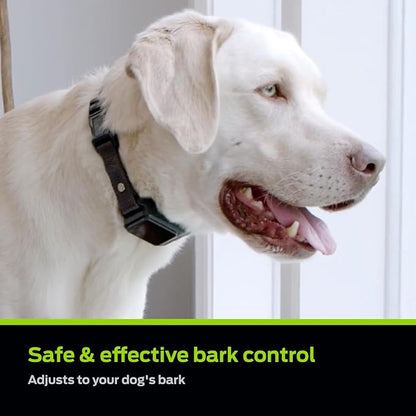 Premier Pet Dog Bark Collar- Waterproof - Rechargeable Digital Bark Collar Anti Barking Collar with 5 Adjustable Sensitivity Levels Dogs