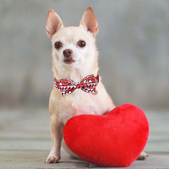 Valentine’s Day Dog Collar with Bow Tie, Red Heart Bowtie Collar with Metal Buckle, Valentine’s Day Gift Adjustable Pet Collar for Puppy Girl Boy Dog or Cat, XL, Neck 16-26in