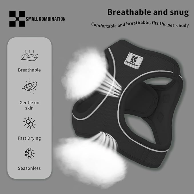 Adjustable Dog Harness with Leash, Reflective Mesh, No-Pull Design，Matching Lead Rope (Black, XXS)