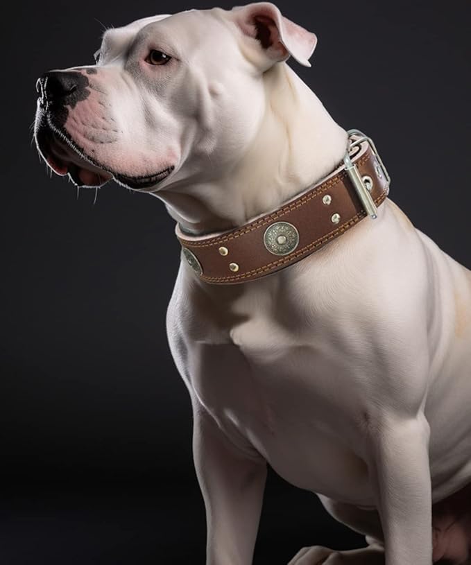 Leather Dog Collar, 2 inches Wide Heavy Duty Genuine Leather Collars, Handmade, Soft, and Luxury, Eye-catching Best Choice for Large and Medium Breed Dogs 18.5-22.5 in