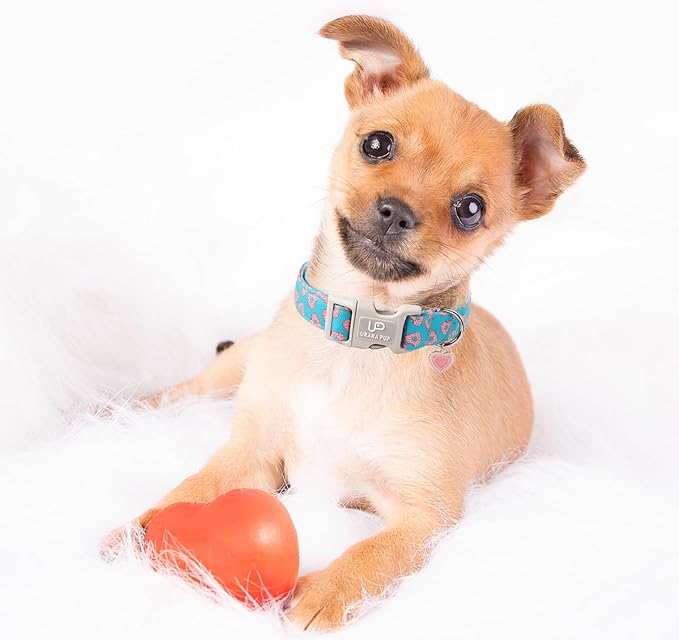 Valentine’s Dog Collar, Pink Heart Dog Collar with Quick Release, Valentine’s Gift Pet Girl Boy Dog Collar for Puppy Small Medium Dogs