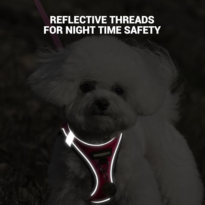 Dog Harness and Leash Set, Dog Harness for Dogs No Pull, No-Chock Step-in Reflective Breathable Lightweight Easy Walk Vest Harnesses with Safety Buckle for Small Medium Dogs, Cats (Rose red, XS)