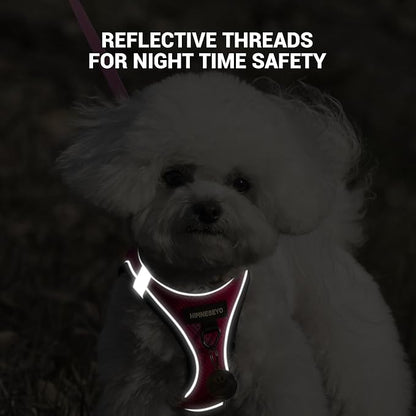 Dog Harness and Leash Set, Dog Harness for Dogs No Pull, No-Chock Step-in Reflective Breathable Lightweight Easy Walk Vest Harnesses with Safety Buckle for Small Medium Dogs, Cats (Rose red, XS)