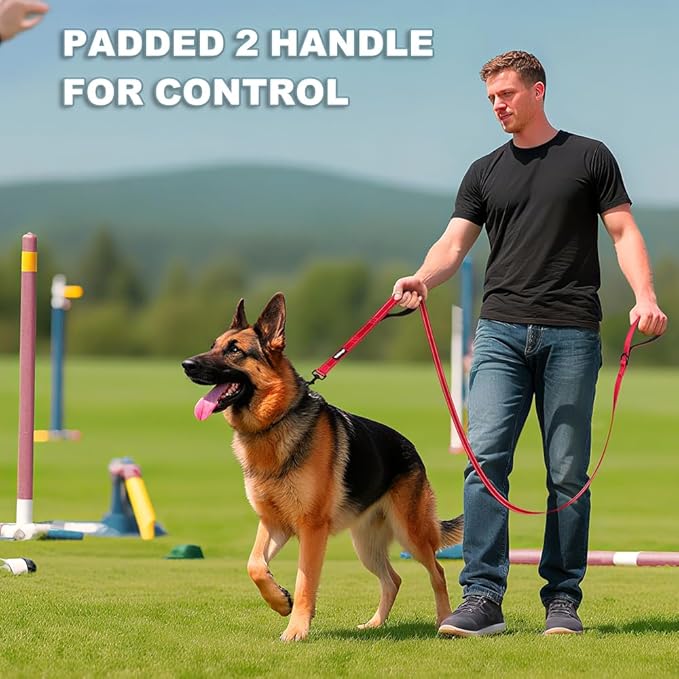 Heavy Duty Double Handle Dog Leash 6 ft Long for Total Control, Padded 2 Handle, Reflective Training Lead for Medium Large Dogs (Red, 6 FT)