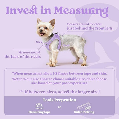 rabbitgoo Small Dog Harness, Step-in Soft Mesh Puppy Vest with Safety Buckle, Breathable Reflective Pet Harness for Small Sized Dogs, Light Purple S
