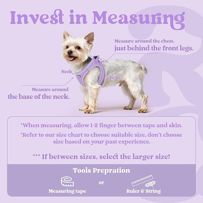rabbitgoo Small Dog Harness, Step-in Soft Mesh Puppy Vest with Safety Buckle, Breathable Reflective Pet Harness for Large Dogs, Light Purple XXL