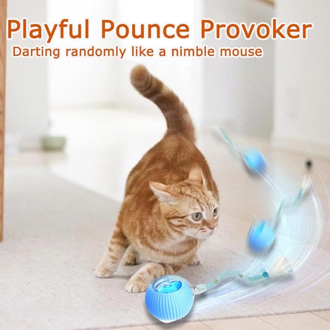 1PC Interactive Cat Toys for Indoor Cats,2025 New Generation Interactive Cat Ball Toy with Elastic Mesh Tail,Automatic Cat/Kitten Toys with Chirping & Motion Activate,Cat Toys for Bored Indoor,Red