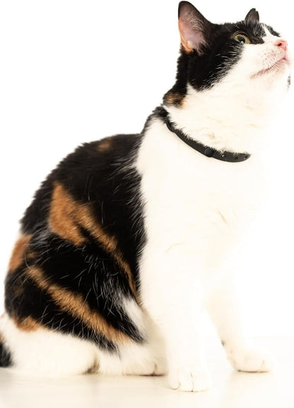 Silicone Cat Collar - Soft, Comfortable, and Lightweight Breakaway Collar with Name Tag Ring for Outdoor Cats and Sensitive Skin Pets by Nuvuq (6 ⅞" to 10 ¼", Black)