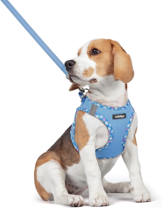 rabbitgoo Dog Harness Small Medium Sized and Leash Set, Step in Soft Light Puppy Vest, Breathable Mesh Pet Harness, Reflective for Safe Easy Walking, Blue & Plaid Trim L