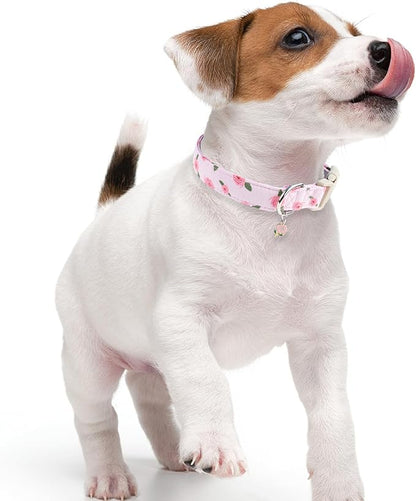 Faygarsle Pink Floral Dog Collar with Roses Pattern, Spring Summer Design for Small Medium Large Dogs S