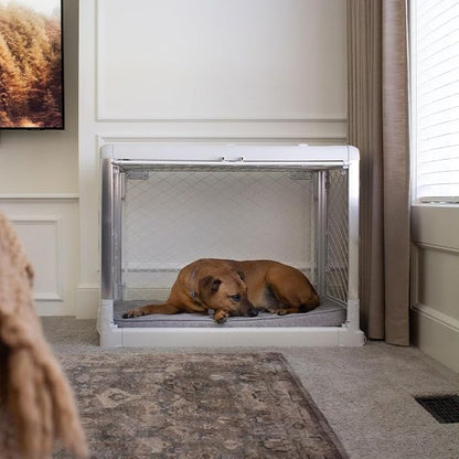 Diggs Snooz Memory Foam Dog Bed - Ideally Sized Revol Dog Crate Pad - Premium Orthopedic Pet Bed for Crate or Home - Grey, Large