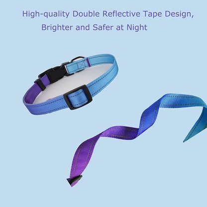 Roses&Poetry Reflective Dog Collar and Leash with Gradient Violet, Adjustable Durable Pet Collars Leash for Medium Large Dogs （Violet-M