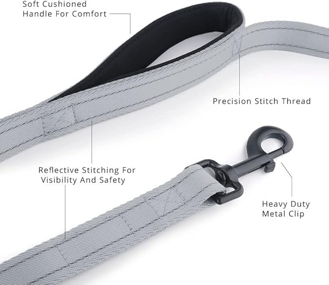 Plutus Pet Double Handle Dog Leash 5ft, Heavy Duty, Reflective Dual Handle Dog Leash for Safety Training, for Medium Large Dogs,2 Handle Leads(Gray)