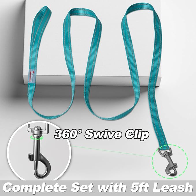 Dog Harness and Leash Set,Step in Small Sized Dog Harness,Soft Mesh,No-Chock,Reflective Adjustable,Secure with Hook & Loop Fastener,Puppy Vest for Small,Medium Dogs(Ocean Blue,L)
