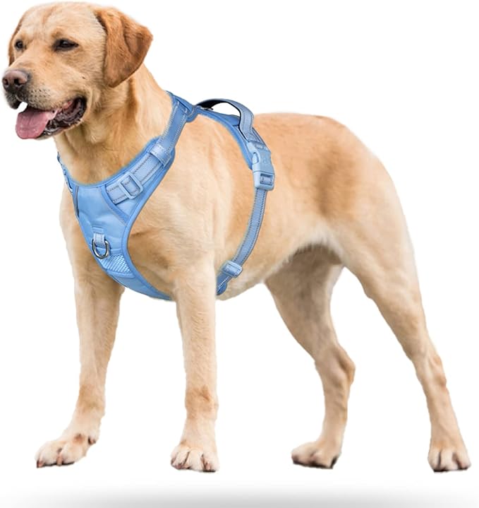 PoyPet No Pull Dog Harness, No Choke Reflective Dog Vest, Adjustable Pet Harnesses with Easy Control Padded Handle for Small Medium Large Dogs(Light Blue Matching Trim,M)