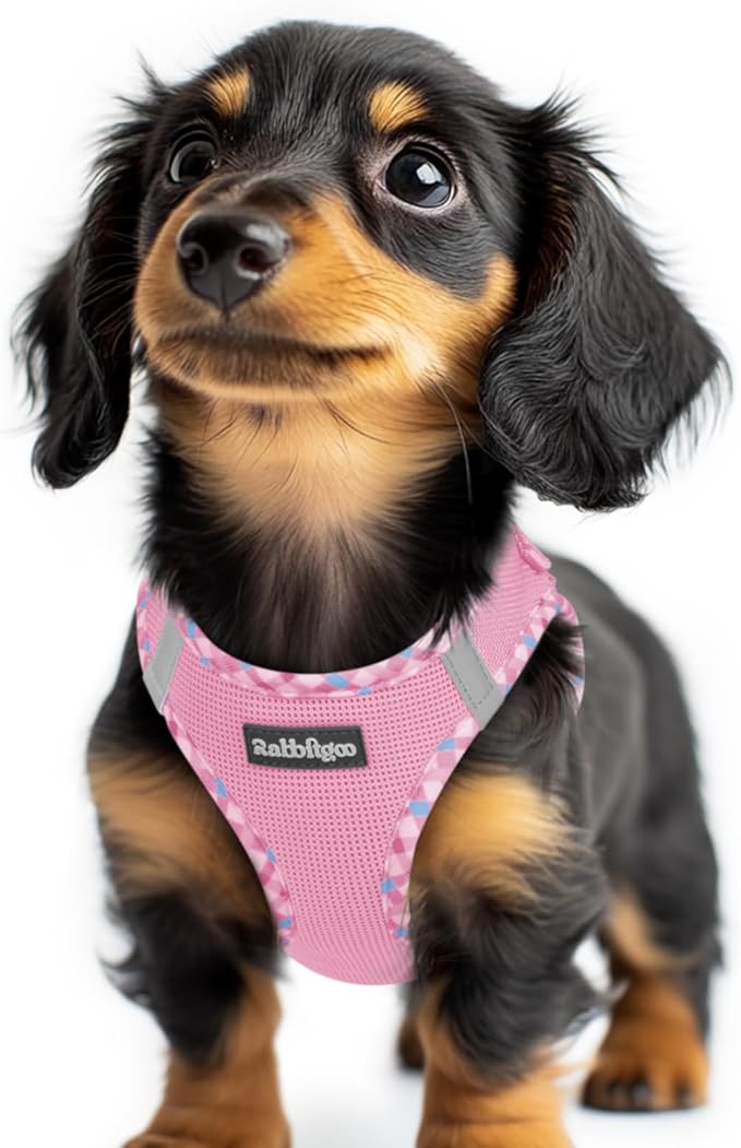 rabbitgoo Small Dog Harness, Step-in Soft Mesh Puppy Vest with Safety Buckle, Breathable Reflective Pet Harness for Extra Small Dogs, Pink & Plaid Trim XXS