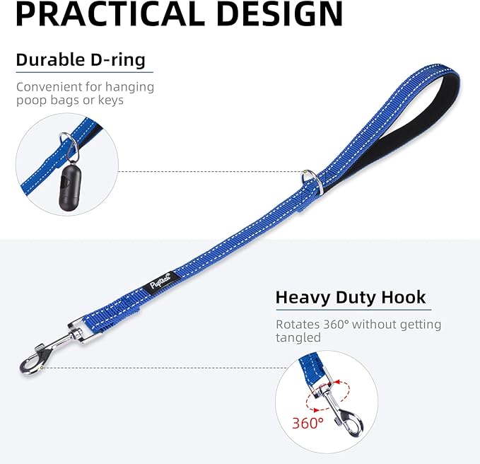 PUPTECK Reflective Dog Leash with Comfortable Padded Handle Durable Nylon Dog Lead for Small Medium and Large Dogs Cats Walking Running Training Outside, Blue