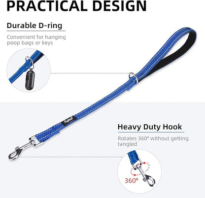 PUPTECK Reflective Dog Leash with Comfortable Padded Handle Durable Nylon Dog Lead for Small Medium and Large Dogs Cats Walking Running Training Outside, Blue
