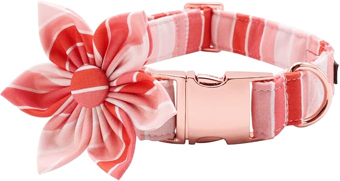 Lionet Paws Dog Collar with Flower, Soft and Comfortable, Adjustable Collar for X-Large Dogs Girl, Neck 16-26 inches
