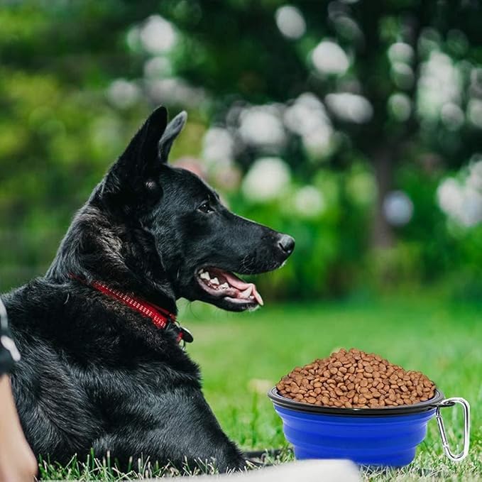 Large Dog Bowl Pet Collapsible Bowls, 2 Pack Collapsible Dog Water Bowls for Cats Dogs, Portable Pet Feeding Watering Dish for Walking Parking Traveling with 2 Carabiners (Large, Blue+Green)