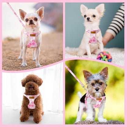 SlowTon No Pull Dog Harness with Leash - Soft Lightweight Floral Pattern Puppy Harness, Adjustable Pet Harness for Small Medium Dogs (Pink Strawberry, XXS)