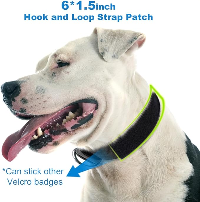 TSPRO Tactical Dog Collar, Adjustable, with Patch & Double Needle Metal Buckle, Heavy Duty for Large to Extra Large Dogs, Durable for Walking, Running, Hiking & Training (Black L-XL)