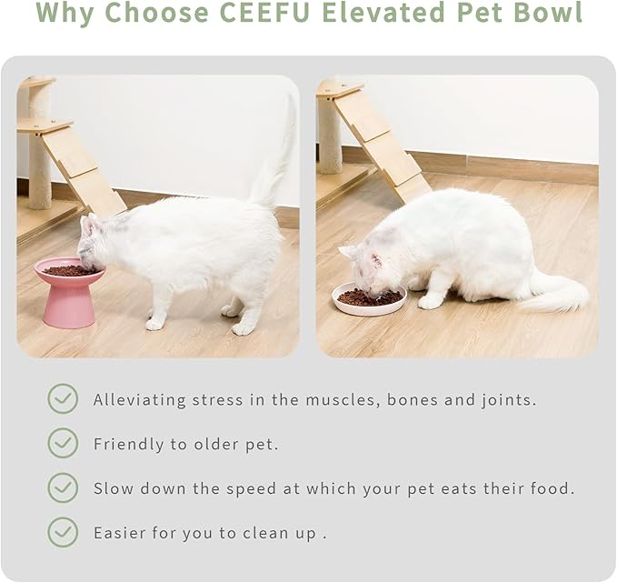 CEEFU 2 Elevated Cat Bowls Extra Wide for Food & Water – Whisker Fatigue, Ceramic Wide Shallow Food Dish, Lead & Cadmium Free, Raised Height for Cats, Pink