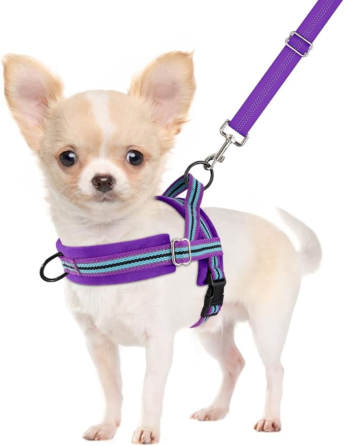 SlowTon No Pull Small Dog Harness and Leash Set, Puppy Soft Vest Harness Neck & Chest Adjustable, Reflective Lightweight Harness & Anti-Twist Pet Lead Combo for Small Medium Dogs (PU-Front Clip, S)