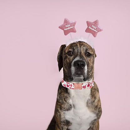 Lionheart glory Valentine Collar, Cookie Hearts Dog Collar for Small Cute Dog Collars Spring Female Pet Gift Adjustable Heavy-Duty Dog Collar Holiday