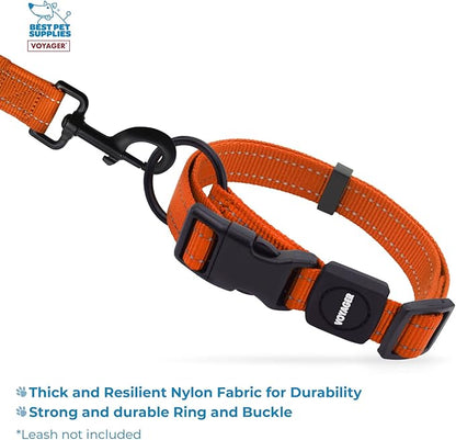 Best Pet Supplies Voyager Reflective Dog Leash or Collar with Neoprene Handle, for Small, Medium, and Large Breed Puppies, Cute and Heavy Duty for Walking, Running and Training - Orange, L